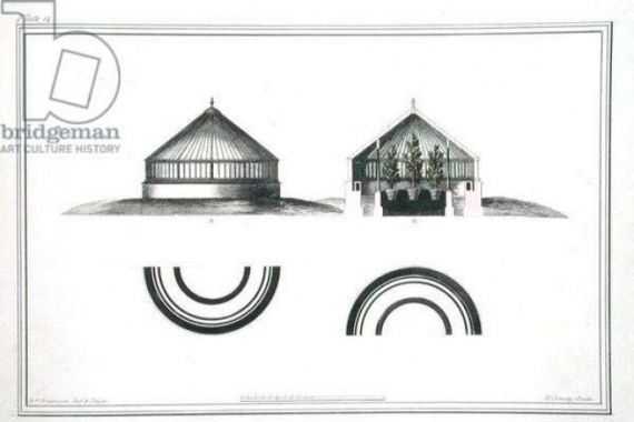 William after Robertson