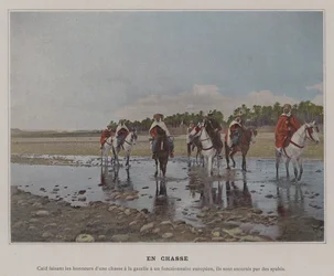 Auf der Jagd (farbiges Foto)