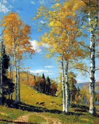 Landschaft mit einem Birkenwald und lebendigem Laub