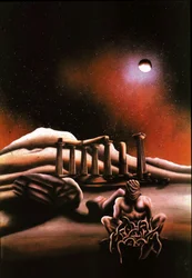 Soziale Konfrontation