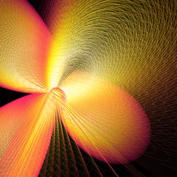 Balloon Dog Supernova 