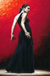 Flamenco-Arroganz
