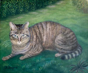 Die Katze Julia