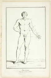 Design: Allgemeine Proportionen des Mannes, aus Encyclopédie
