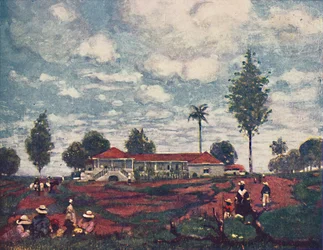 Eine Kaffeefazenda, 1916