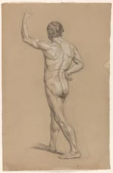 Stehender männlicher Akt, von hinten gesehen