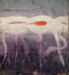 Weiße Flamingos, Studie für das Buch Tarnung im Tierreich