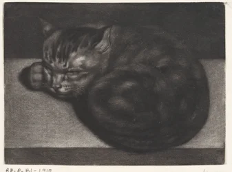 Schlafende Katze