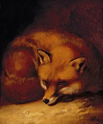 Ein Fuchs