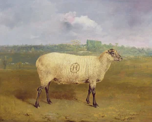 Ein preisgekröntes Mutterschaf mit dem Monogramm „H“, im Besitz von Herrn J. A. Houblon, Hallingbury Place, Essex, 1812
