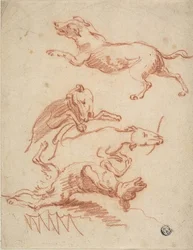Skizzen von herumtollenden Hunden