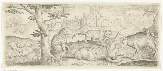 Ratten, Katzen und Füchse (Tiere)