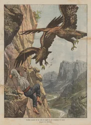 Kühne Jagd auf ein Adlernest in einer Felsspalte