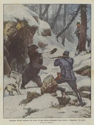 Mutiger ungarischer Offizier, der mit einem Hund eine Bärin an den Höhleneingang lockt, sie angreift und tötet