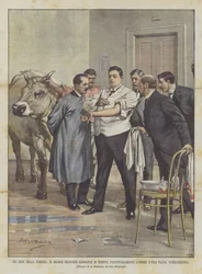 Die Helden der Wissenschaft, der französische Arzt Garnault injiziert sich freiwillig die Flüssigkeit einer tuberkulösen Kuh