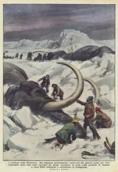 Die Zeugen der Vorgeschichte