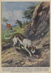 Der Hund, der den kleinen Besitzer rettet