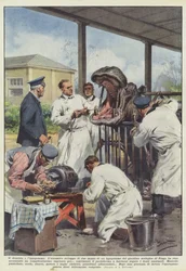 Der Zahnarzt und das Nilpferd