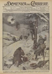 Die Arbeit der Spinnen