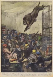 Der Sprung einer Bestie