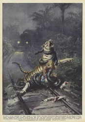 In einem indischen Wald wartet ein Mann in der Nähe der Eisenbahnlinie auf den Zug