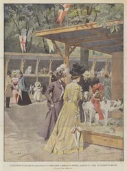 Die Nationale Ausstellung für die Zucht von Hunden, Katzen und Kleintieren, eröffnet am 5. dieses Monats