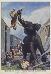 In die Luft geworfen, überrannt und tödlich von einem wütenden Elefanten zertrampelt