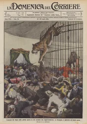 Löwin, die während einer Vorstellung in Burgund aus dem offenen Käfig entkommt