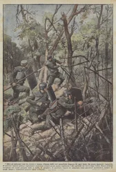 Neben den zwischen Baumstämmen gespannten Drahtzäunen gab es in alle Richtungen gespannte Metallnetze