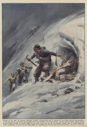 Von einem Hund gerettet