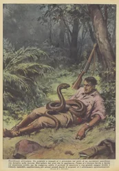 Schreckliches Abenteuer