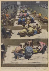 Ein neuartiger Wettbewerb