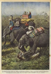 Ein blutiges Duell während einer Jagd des Maharadschas von Bikanir in Indien