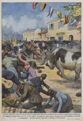 Ein wütender Stier sprang über die Barriere der Arena während einer Corrida