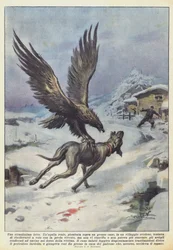 Ein sehr seltsamer Kampf