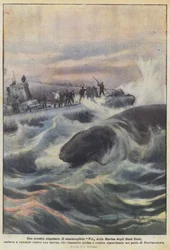 Ein ungewöhnlicher Zusammenstoß