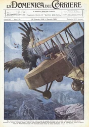 Ein seltsamer Luftkampf