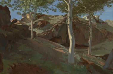 Birken auf einem felsigen Abhang: Fontainebleau