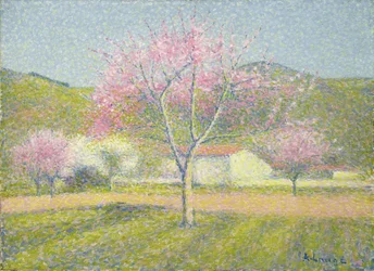 Ein Obstgarten im Frühling, blühende Apfelbäume, ca. 1920-29
