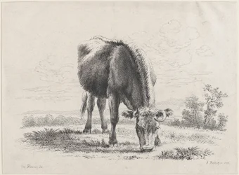 Weidende Kuh, 1805