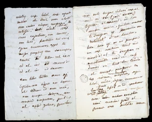 Autographisches Manuskript von Adele Hugo (zweite Tochter von Victor Hugo)