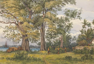 Apia-Bucht, Upolu, Navigatorinseln, [Samoa] von der Veranda meiner Krankenstation, 6. November 1849