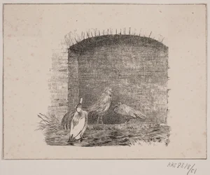 Die Hühner und Enten