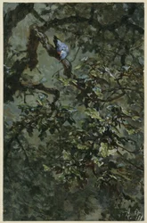 Der Blauspecht im Laub. Aus dem „Kinderalbum“