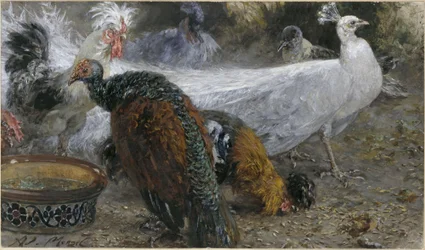 Der weiße Pfau mit Truthenne und Hühnern. Aus dem "Kinderalbum"