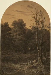 Waldlandschaft an einem Teich