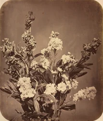 Blumenstrauß