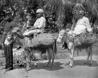 Auf dem Weg ins Gefängnis, Jamaika, um 1905