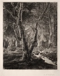 Wald von Pierrefonds