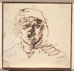 Kopf eines schreienden Jungen